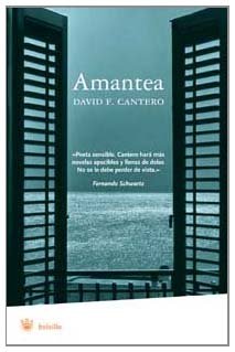 Amantea - bolsillo: 017 (FICCIÓN)