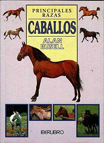 CABALLOS - PRINCIPALES RAZAS (MINI)