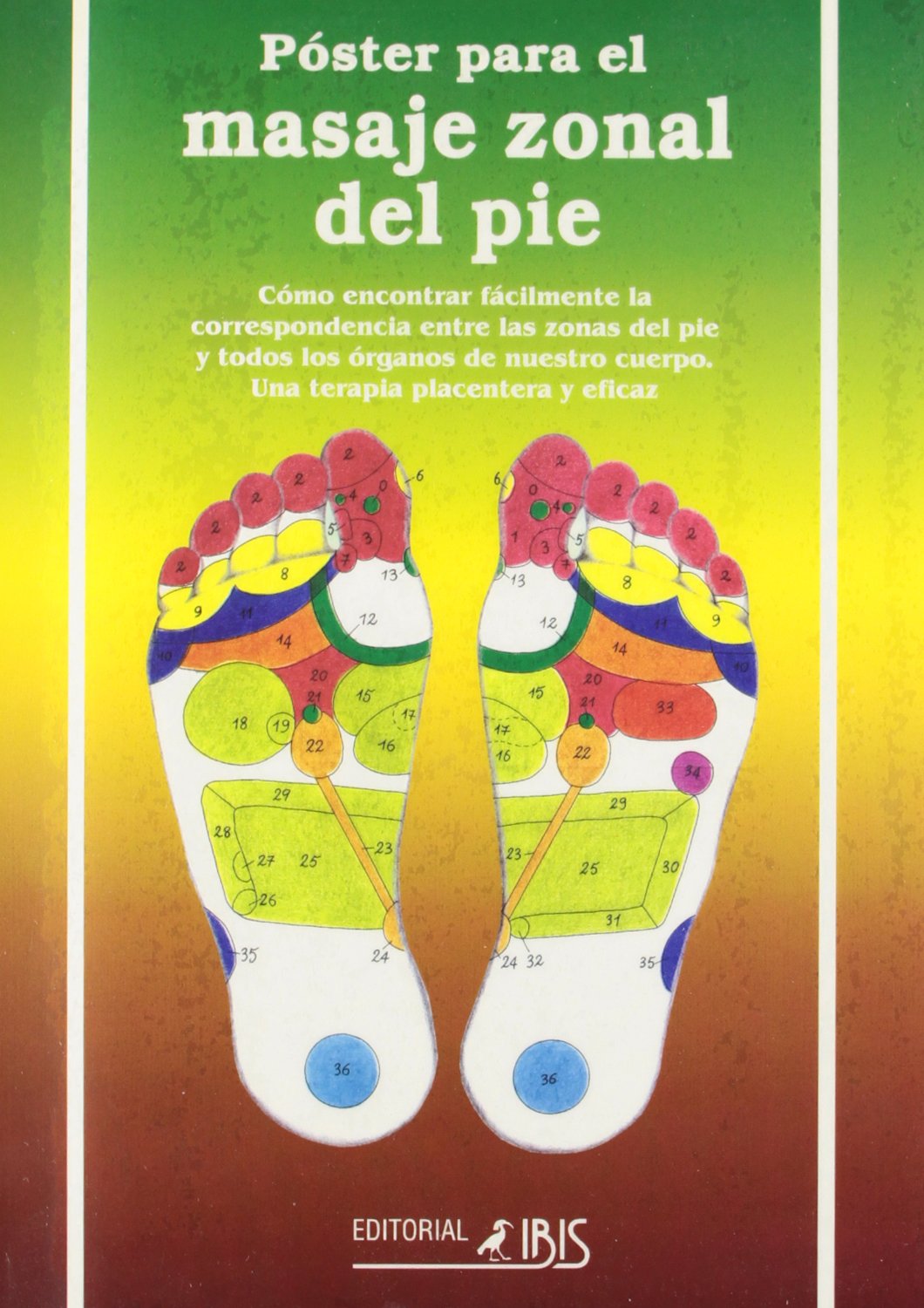POSTER MASAJE ZONAL DEL PIE