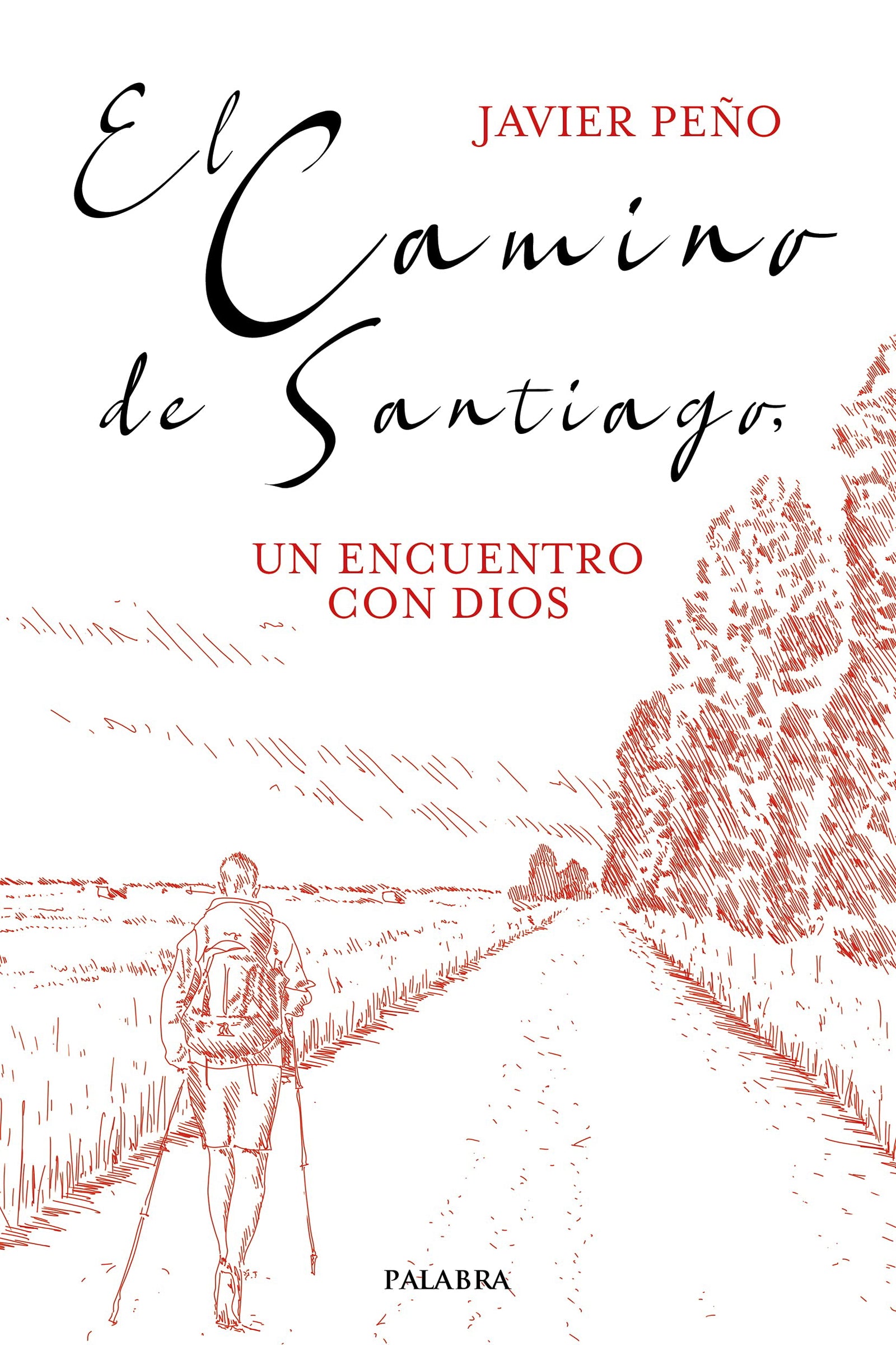 El Camino De Santiago. Un encuentro con Dios (Mundo y cristianismo)