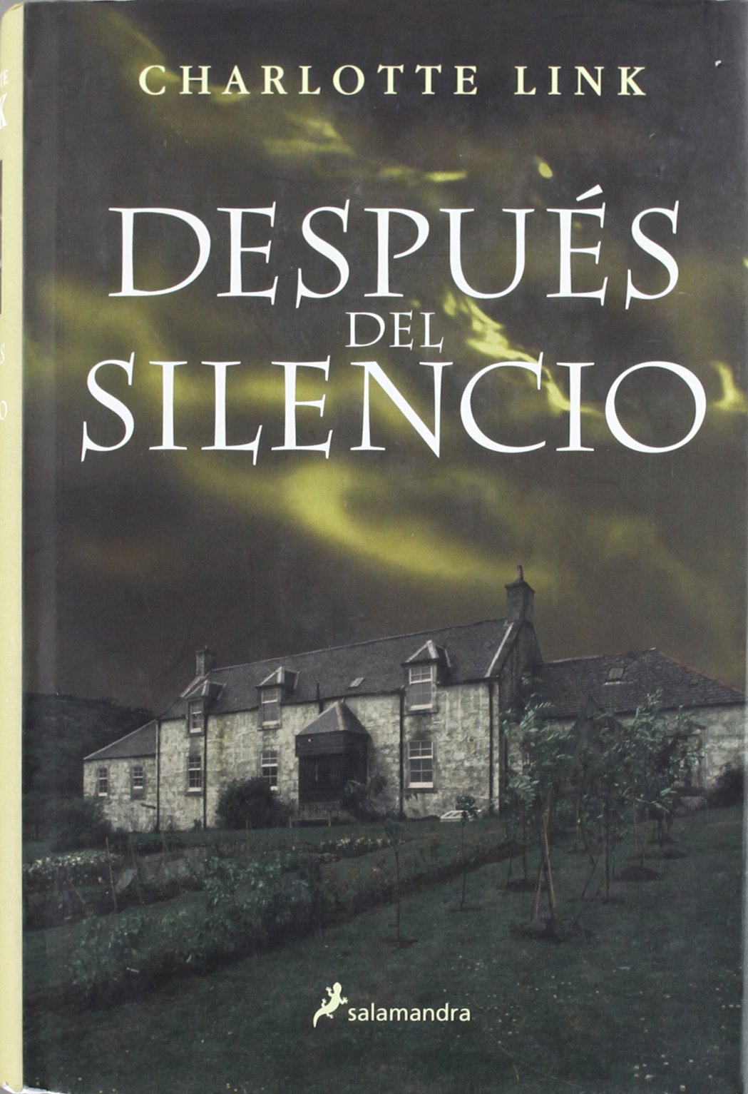 Después del silencio (Novela)