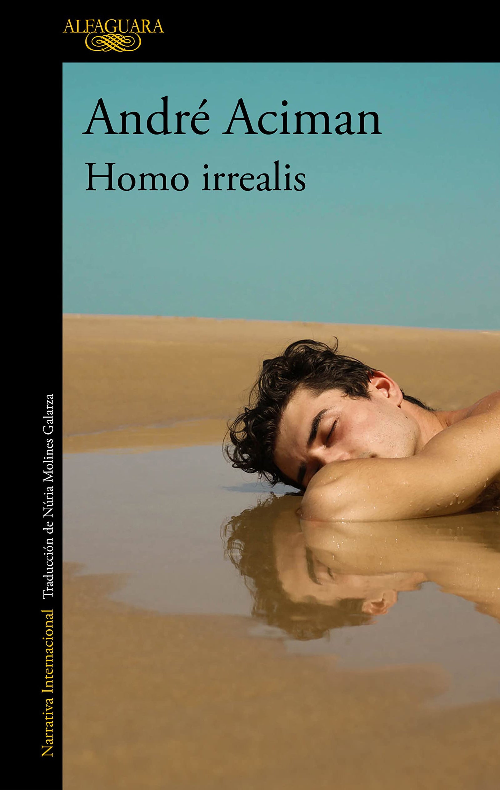 Homo irrealis (Literaturas)