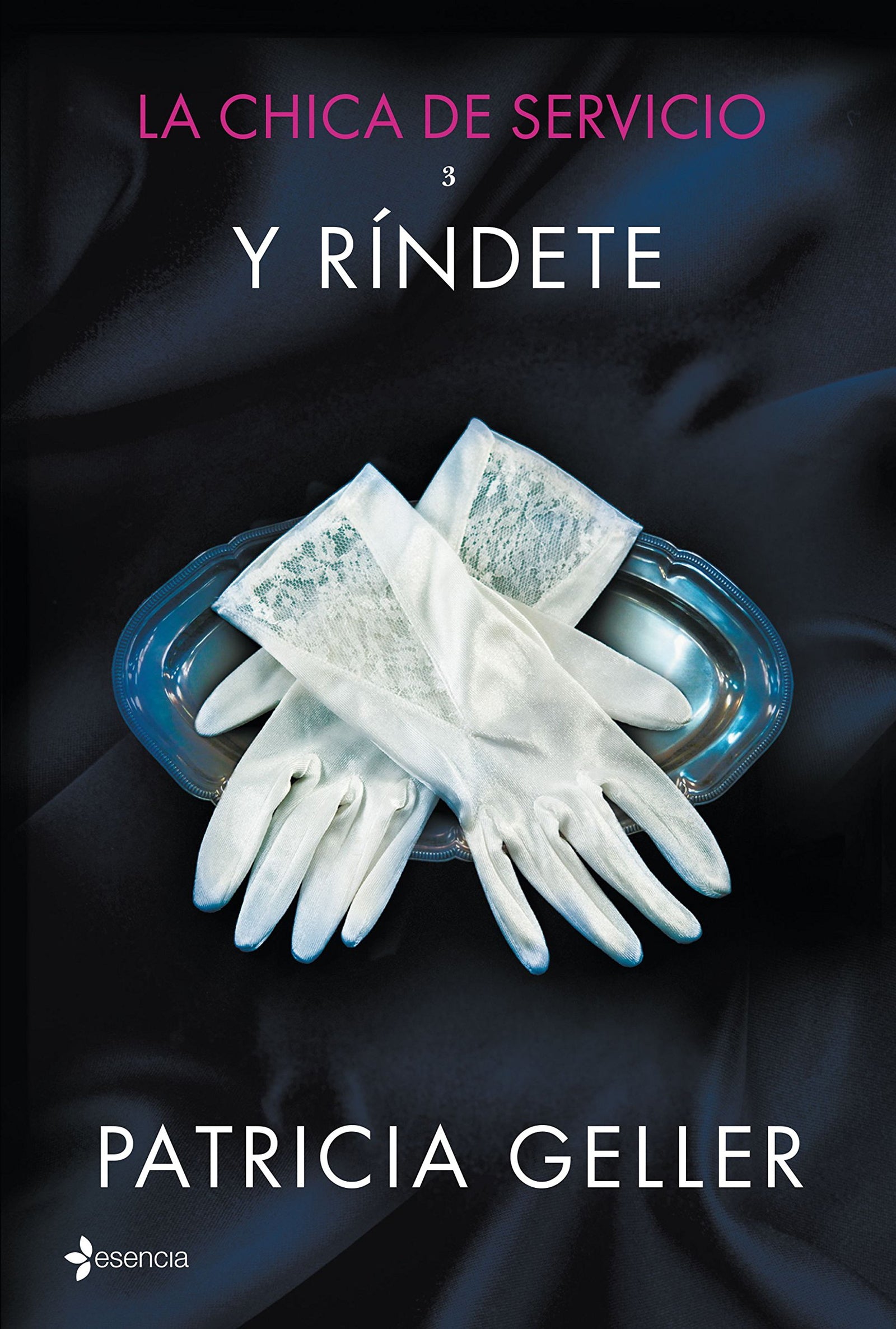 La chica de servicio, 3. Y ríndete (Erótica)