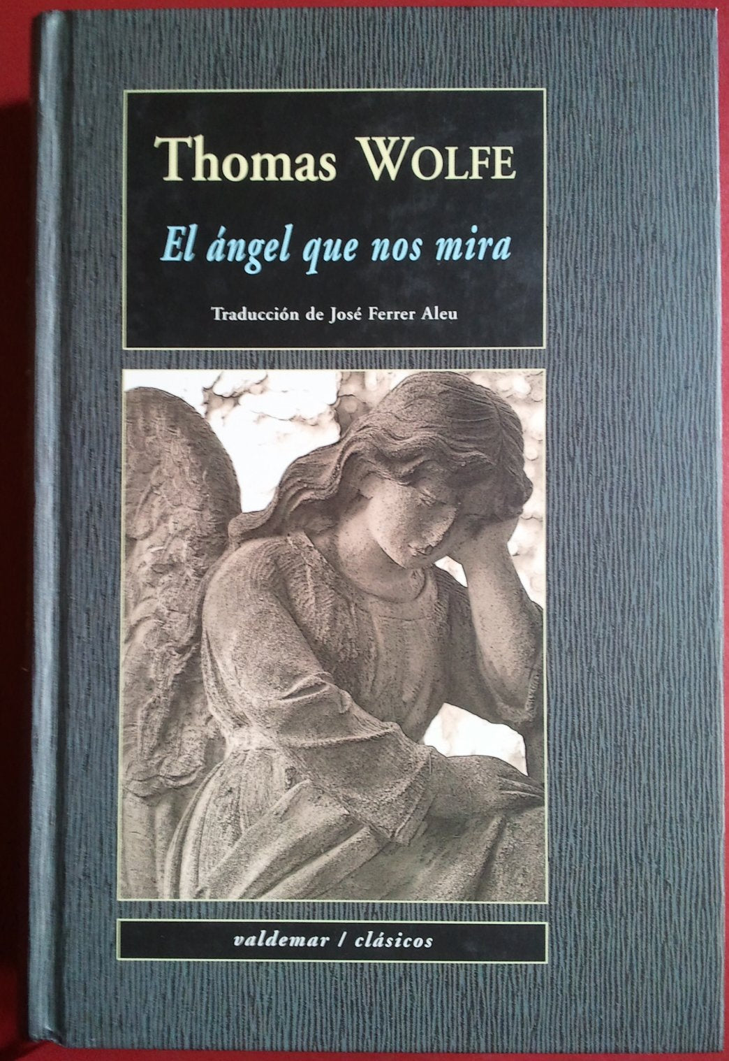 El ángel que nos mira (Clásicos)