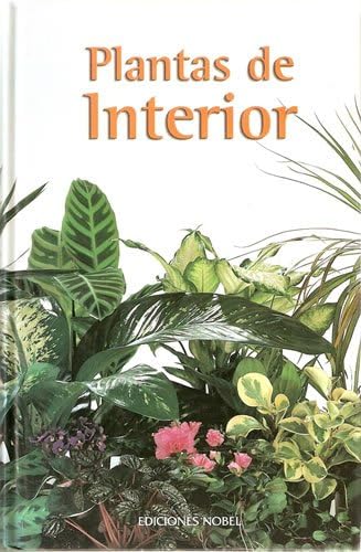 PLANTAS DE INTERIOR 