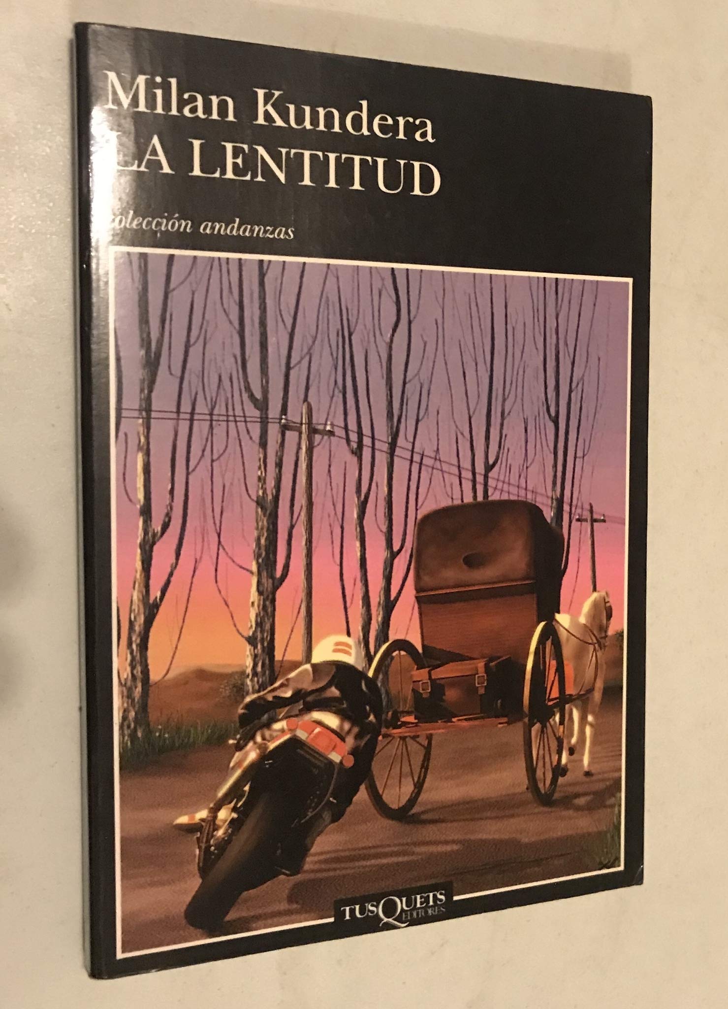 La lentitud: 231 (Andanzas)