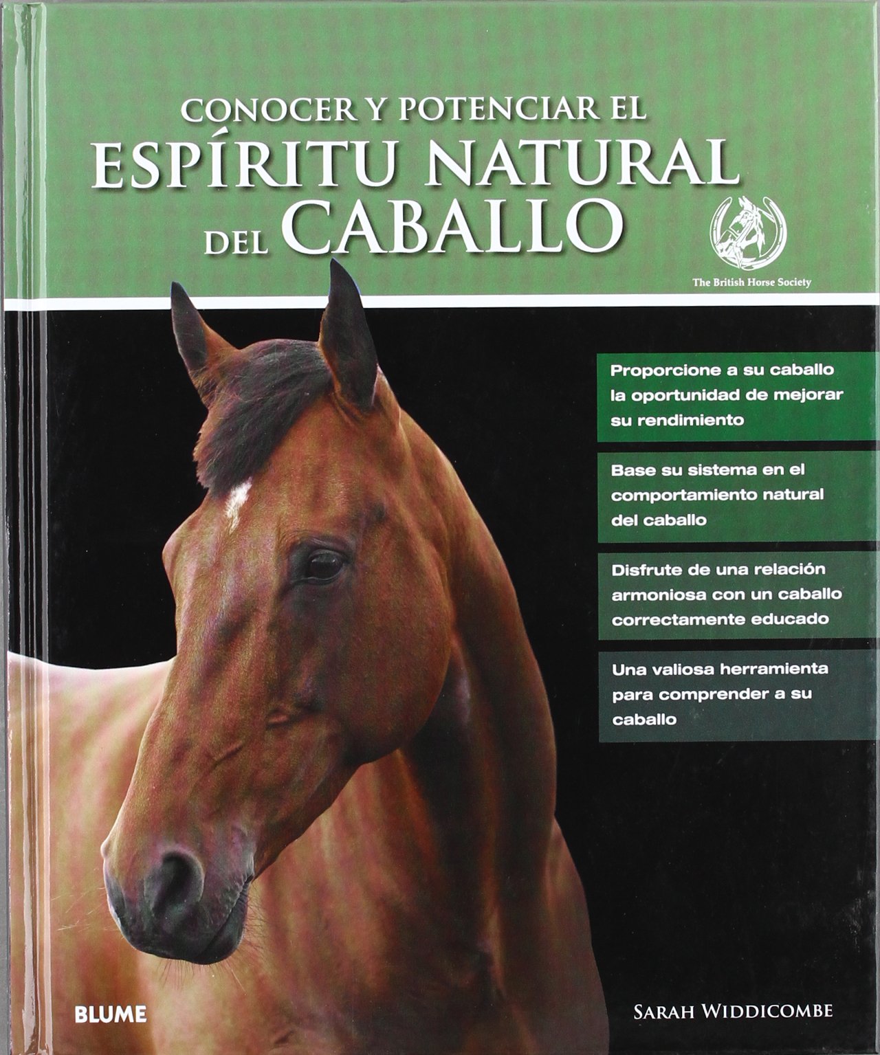 Esp¡ritu natural del caballo: Conocer y potenciar el espíritu natural del caballo (GUIAS VARIAS ANIMALES)