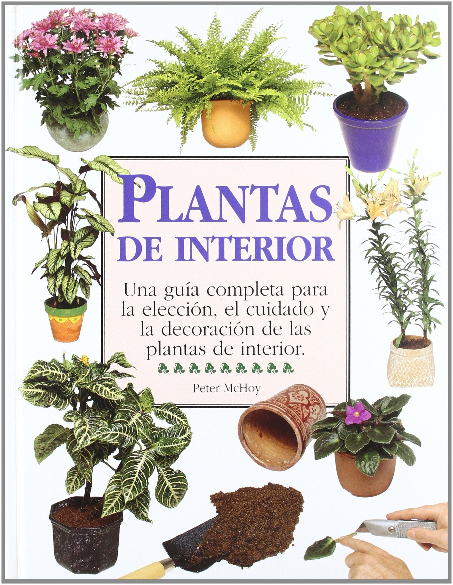 PLANTAS DE INTERIOR (SIN COLECCION)