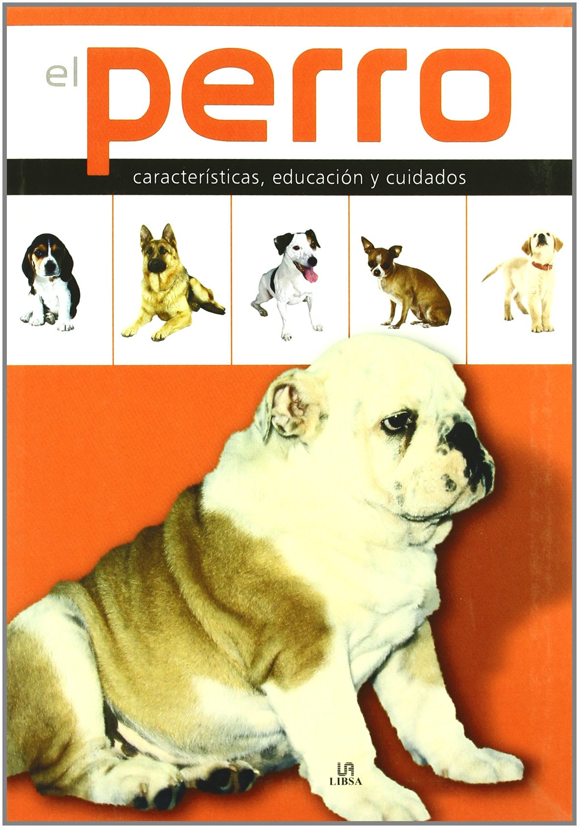 El Perro: Características, Educación y Cuidados (Enciclopedia de las Mascotas)