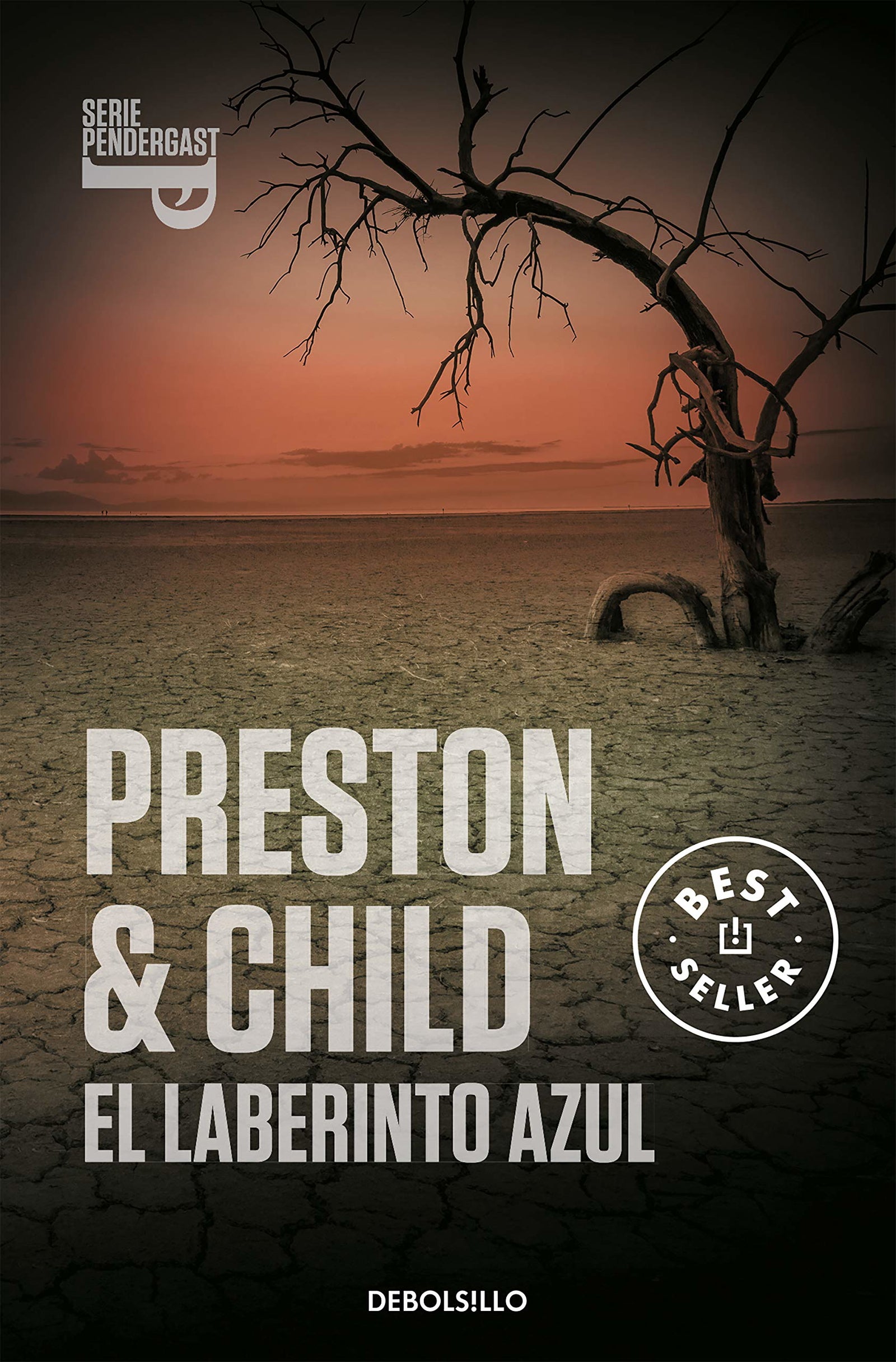 El laberinto azul: 14 (Best Seller)