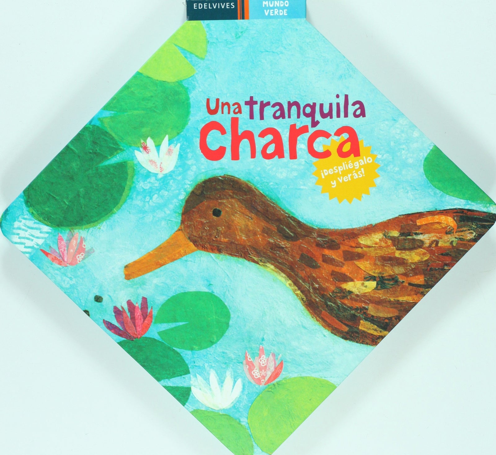 Una tranquila charca
