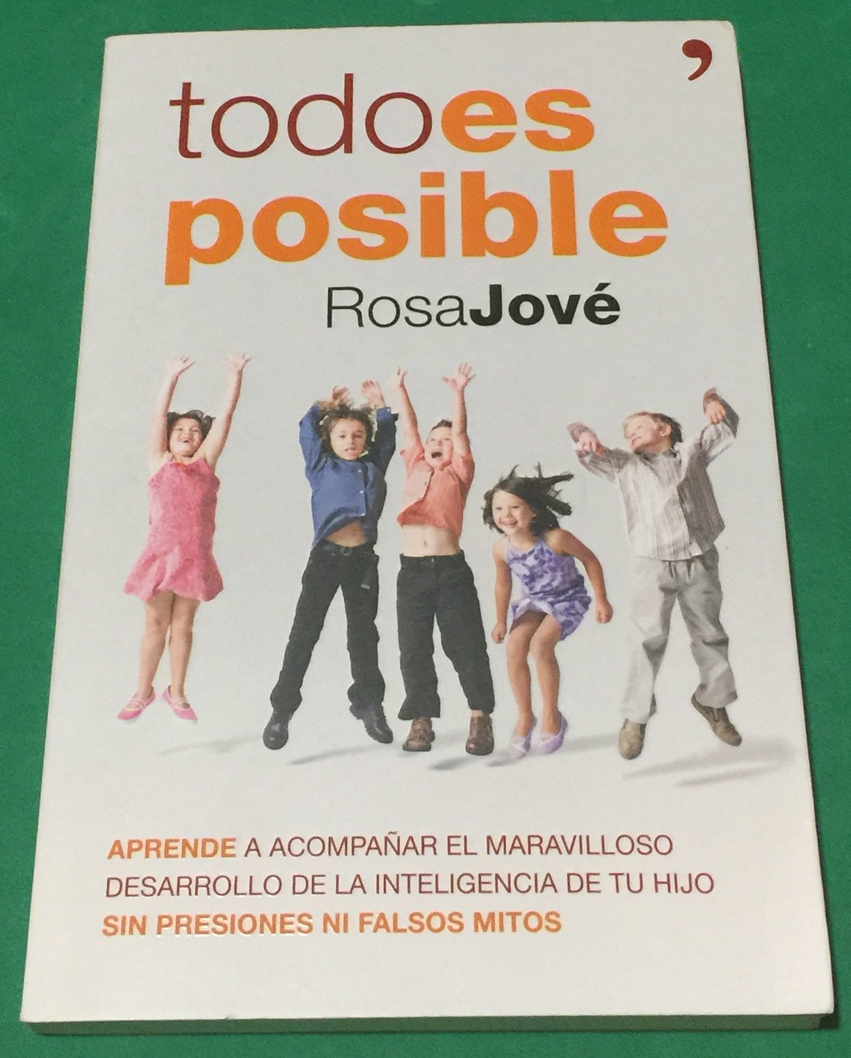 Todo es posible: Aprende a acompañar el maravilloso desarrollo de la inteligencia de tu hijo sin presiones ni falsos mitos (Vivir Mejor)