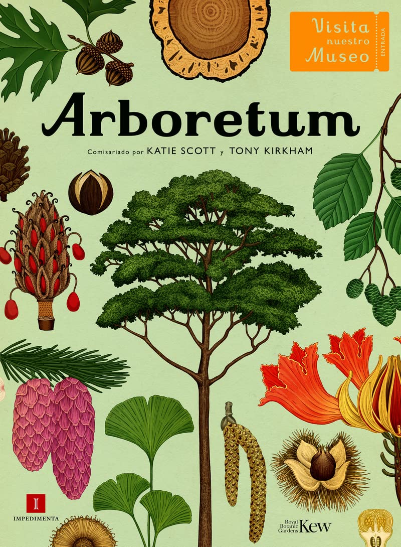 Arboretum: Visita Nuestro Museo (El Chico Amarillo)