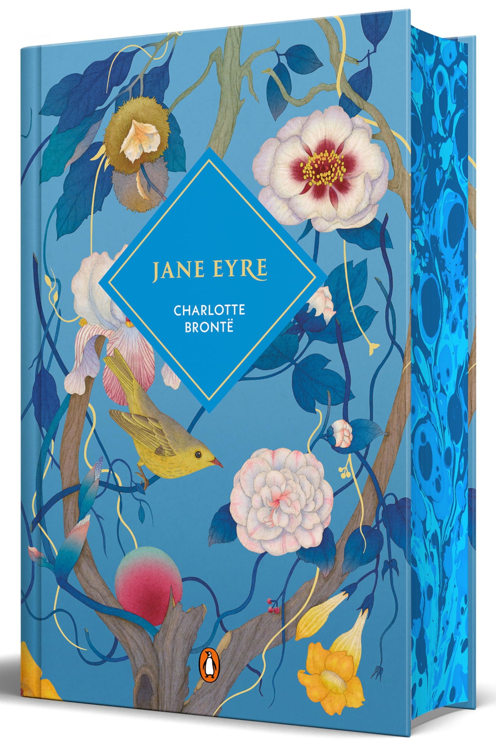 Jane Eyre (edición especial limitada) (Campaña edición con cantos tintados)