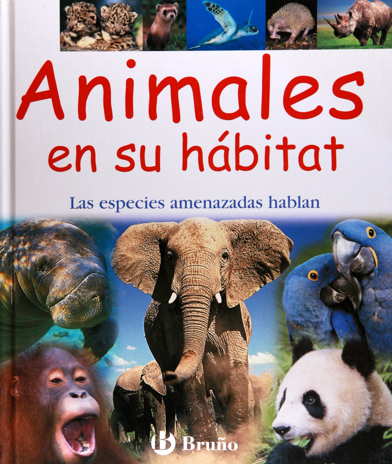 Animales en su hábitat (Castellano - A Partir De 8 Años - Álbumes - Otros Álbumes)