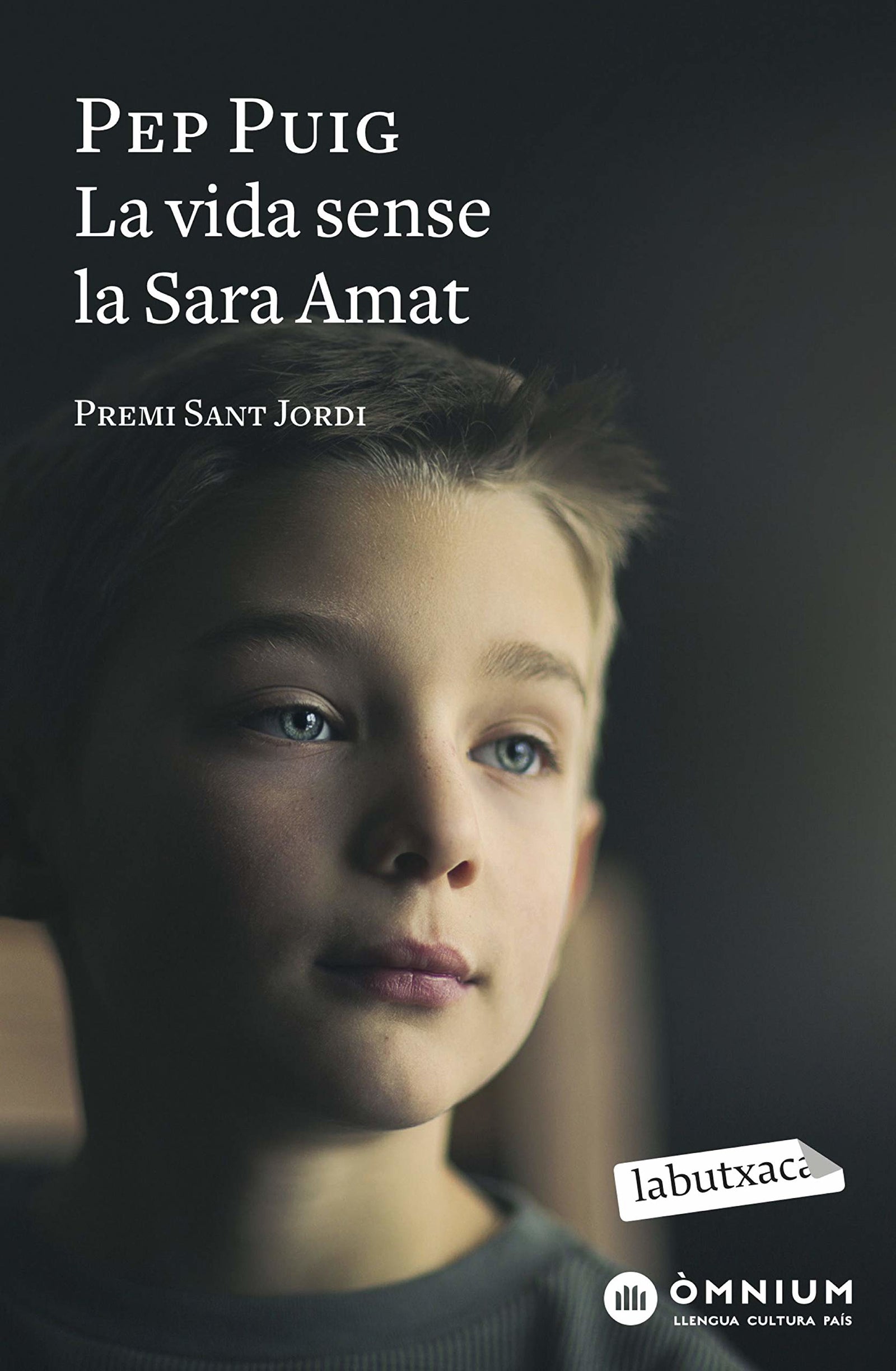 La vida sense la Sara Amat: Premi Sant Jordi 2015 (LABUTXACA)