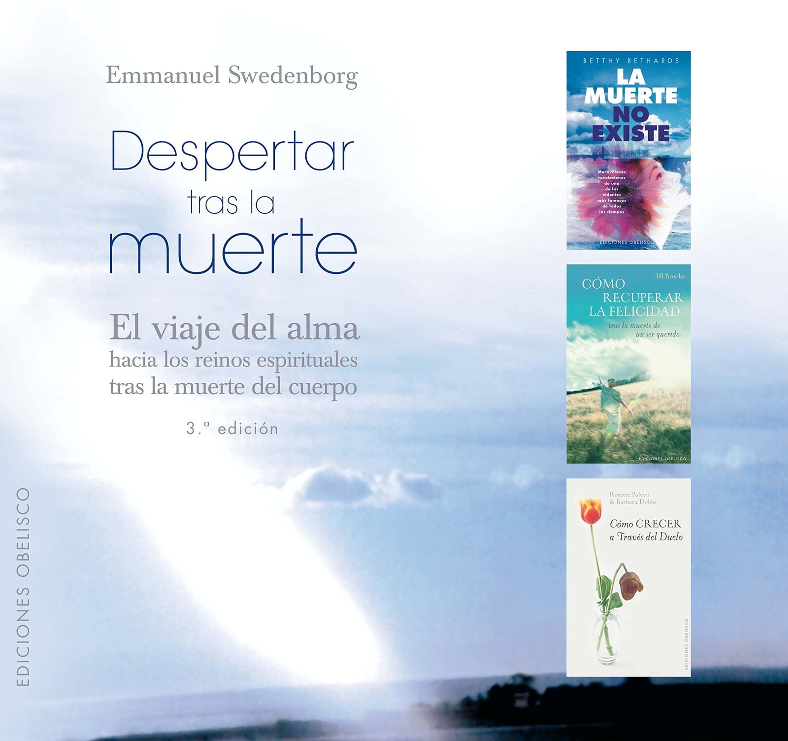 Despertar tras la Muerte: el viaje del alma hacia los Reinos Espirituales tras la muerte del cuepo (NUEVA CONSCIENCIA)