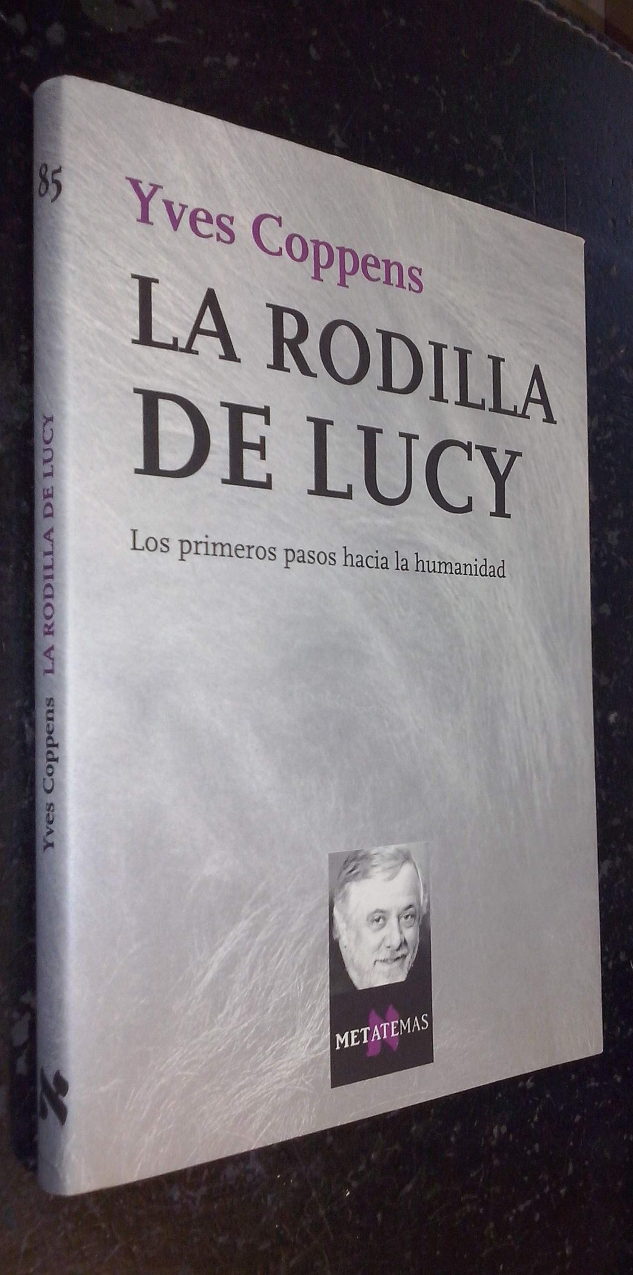 La rodilla de Lucy: 85 (Metatemas)