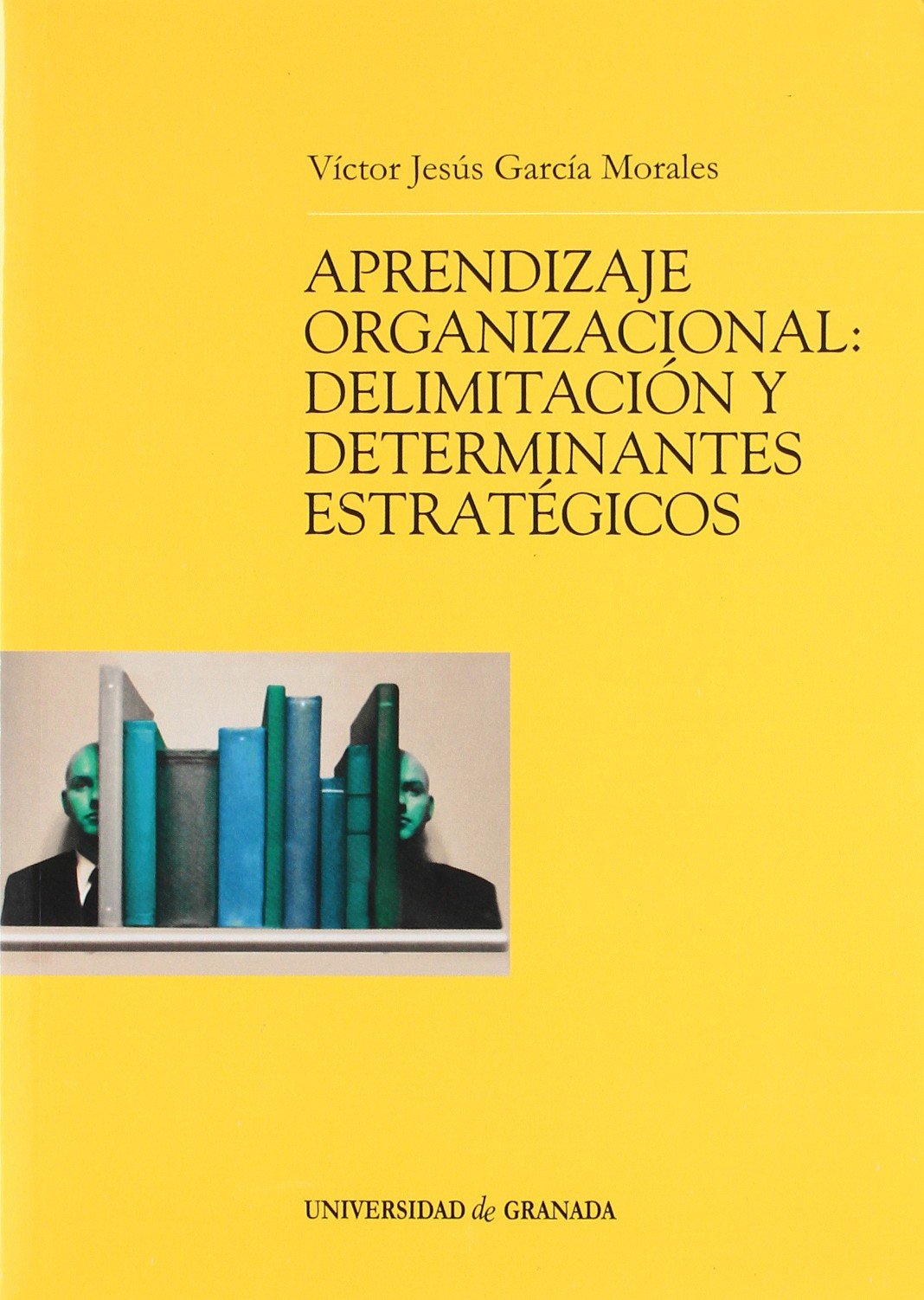 Aprendizaje organizacional: Delimitación y determinantes estratégicos (Monográfica / Biblioteca de Ciencias Económicas y Empresariales)