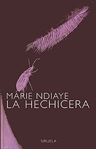 La hechicera: 93 (Libros del Tiempo)