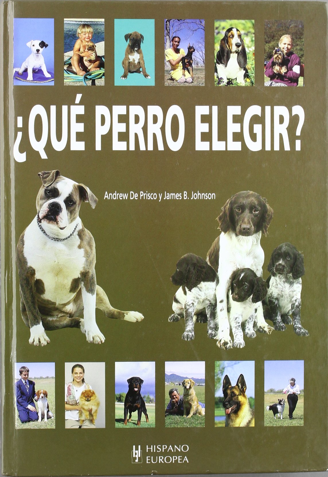 ¿Qué perro elegir?