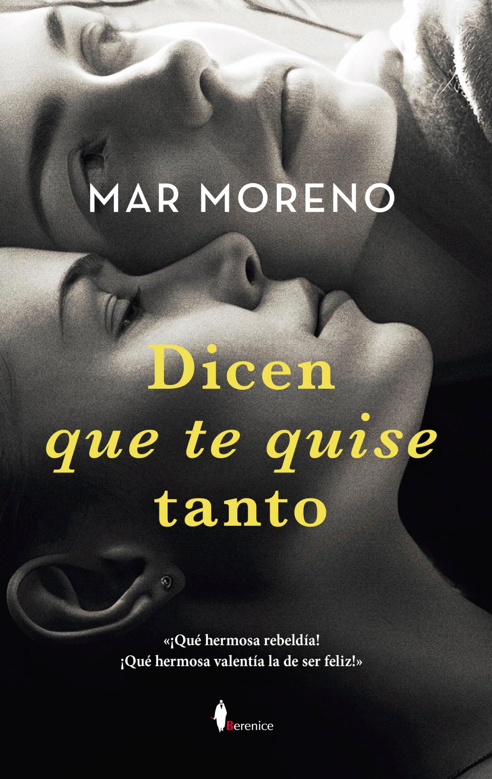 Dicen que te quise tanto (Novela)