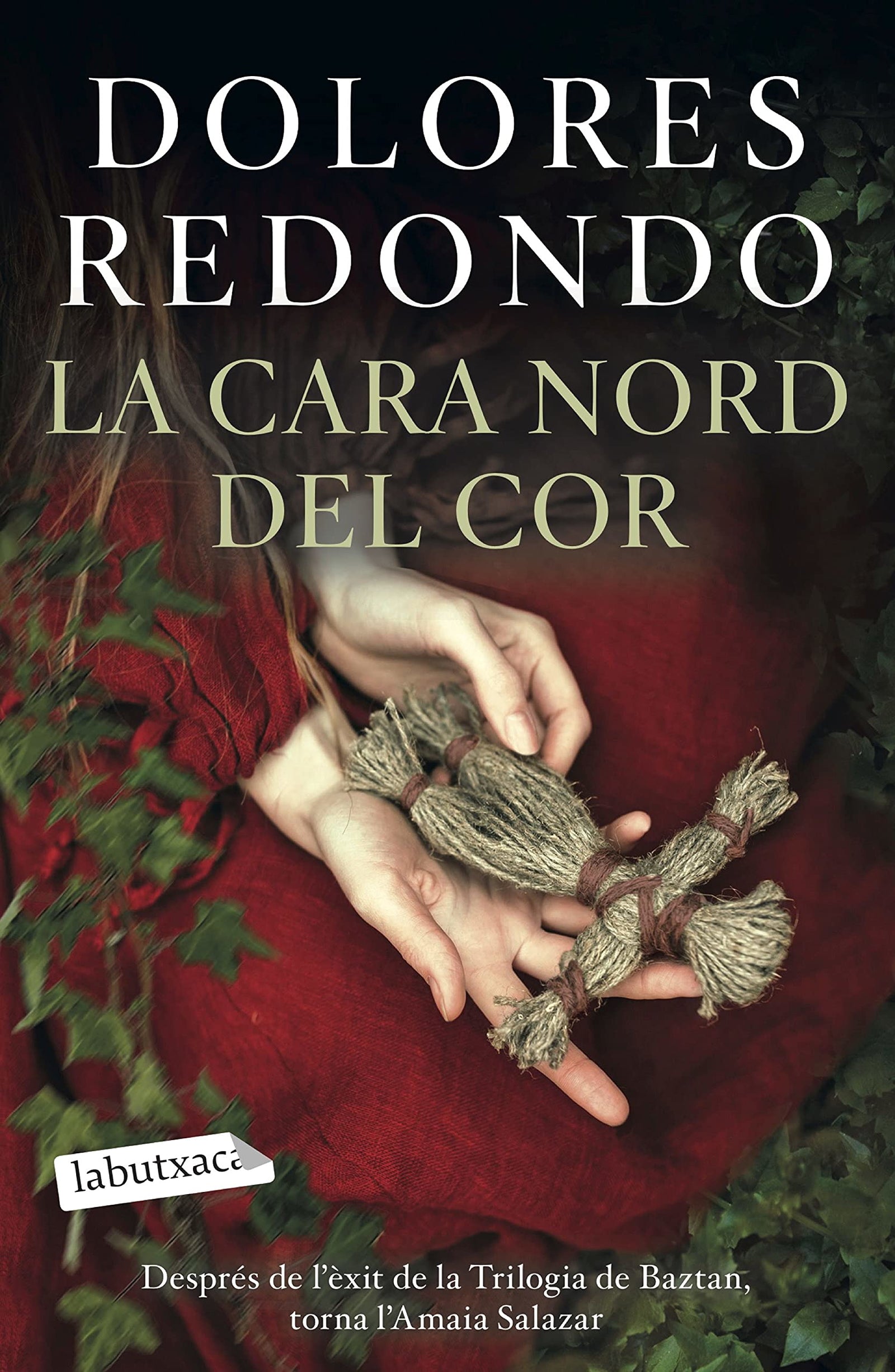 La cara nord del cor (LABUTXACA)