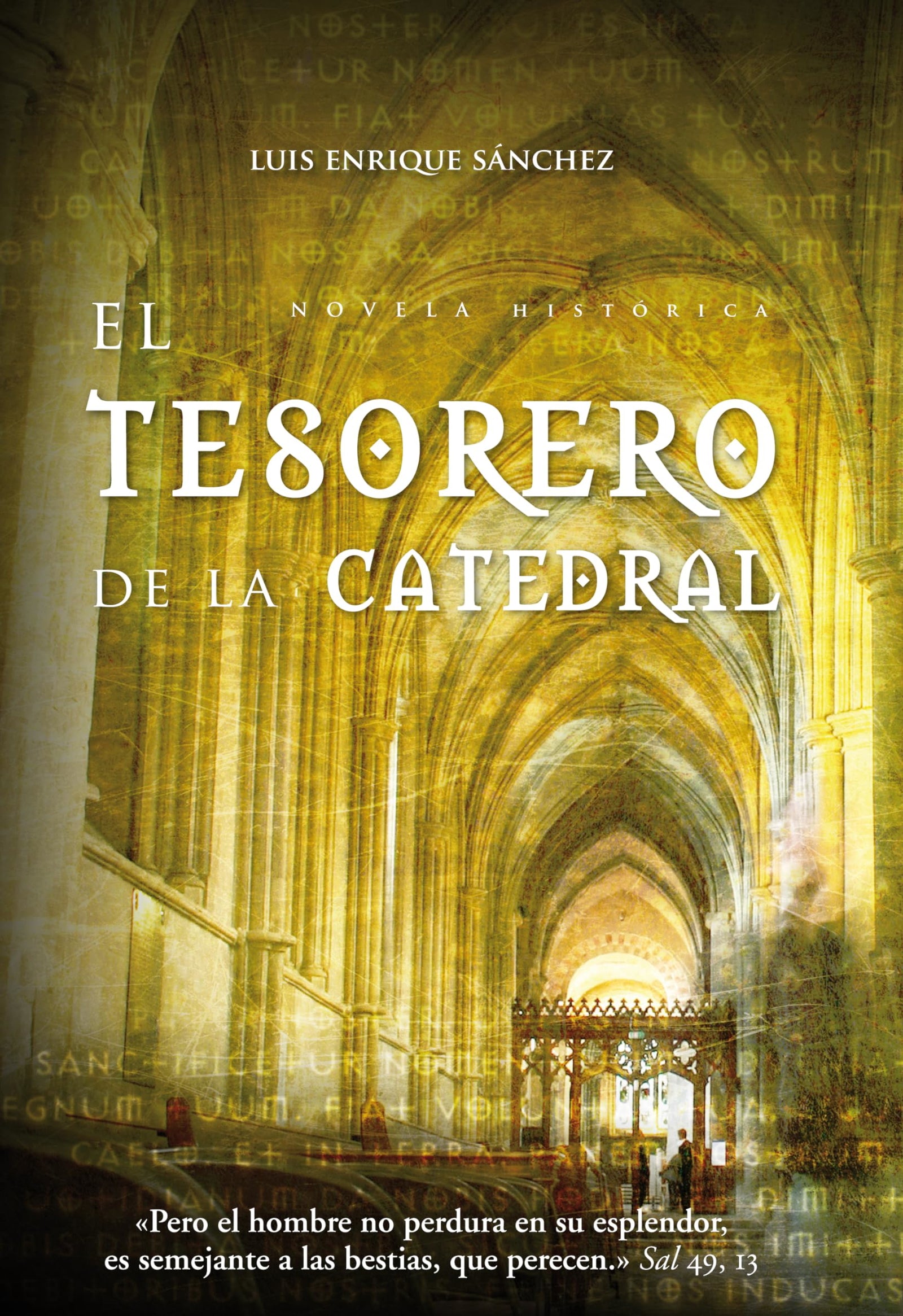 El tesorero de la catedral (Novela)