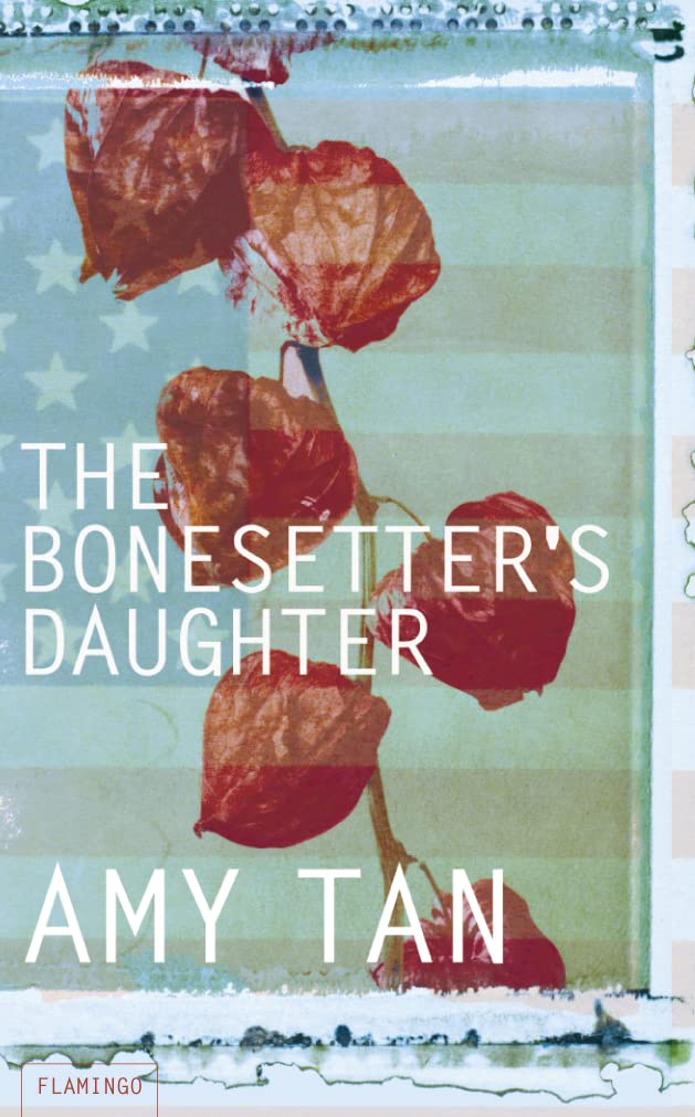 The Bonesetter's Daughter