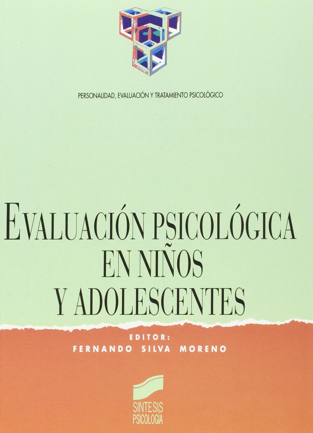 Evaluación psicológica en niños y adolescentes (Síntesis psicología. Personalidad, evaluación y tratamiento psicológico)