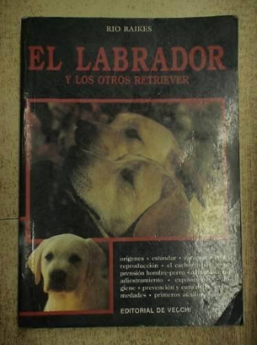 Labrador y los otros retriever, el