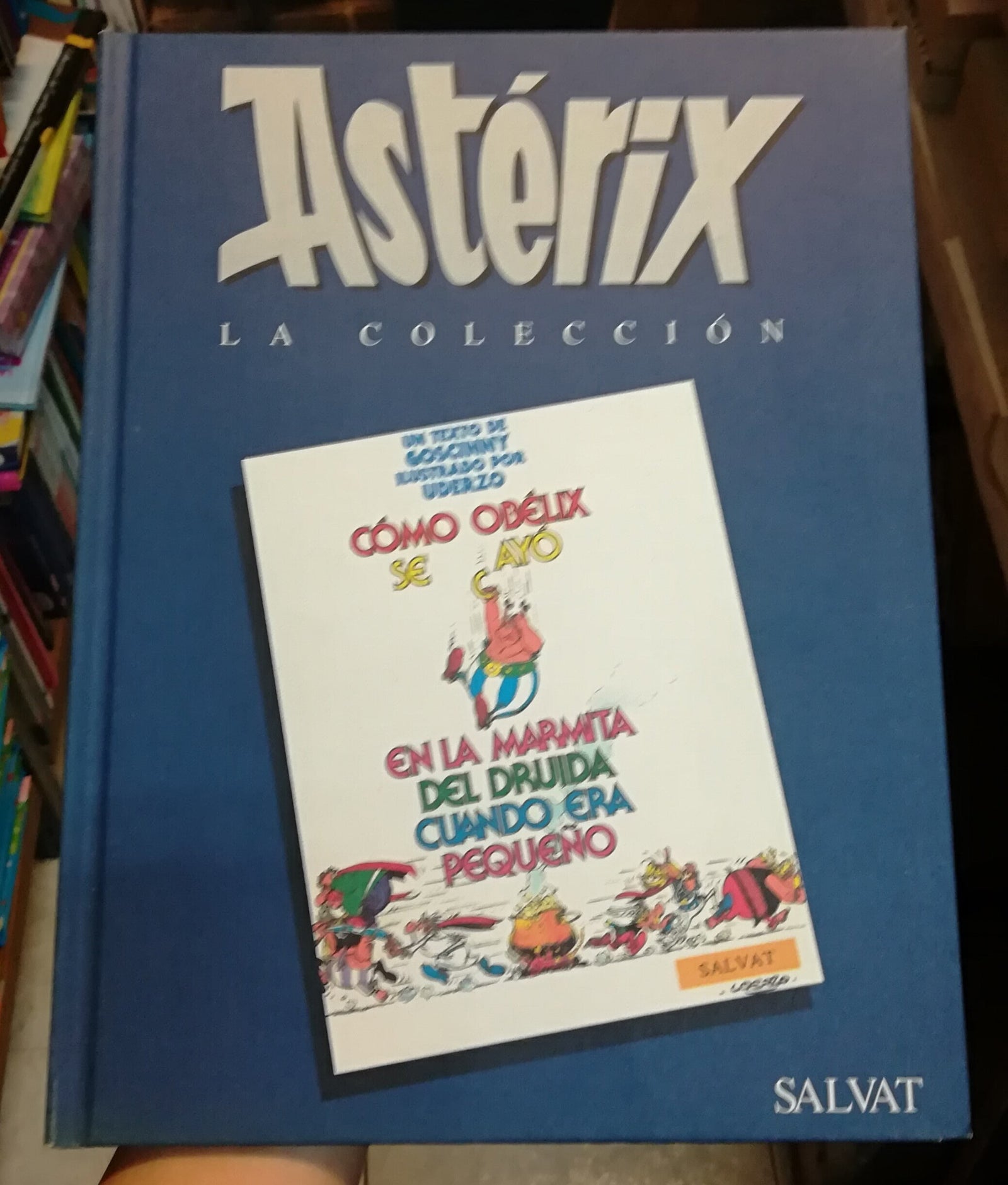 Como obelix cayo en la marmita