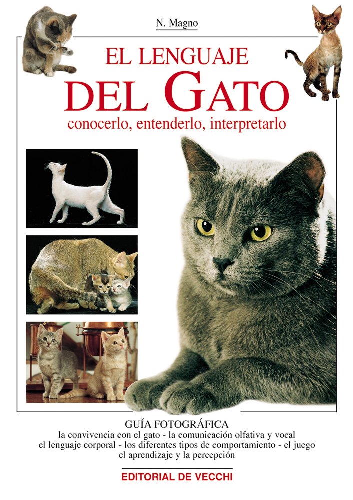 El lenguaje del gato (Animales)