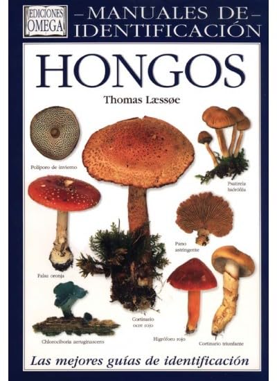 HONGOS. MANUAL DE IDENTIFICACION (GUIAS DEL NATURALISTA-HONGOS Y PLANTAS CRIPTÓGAMAS)