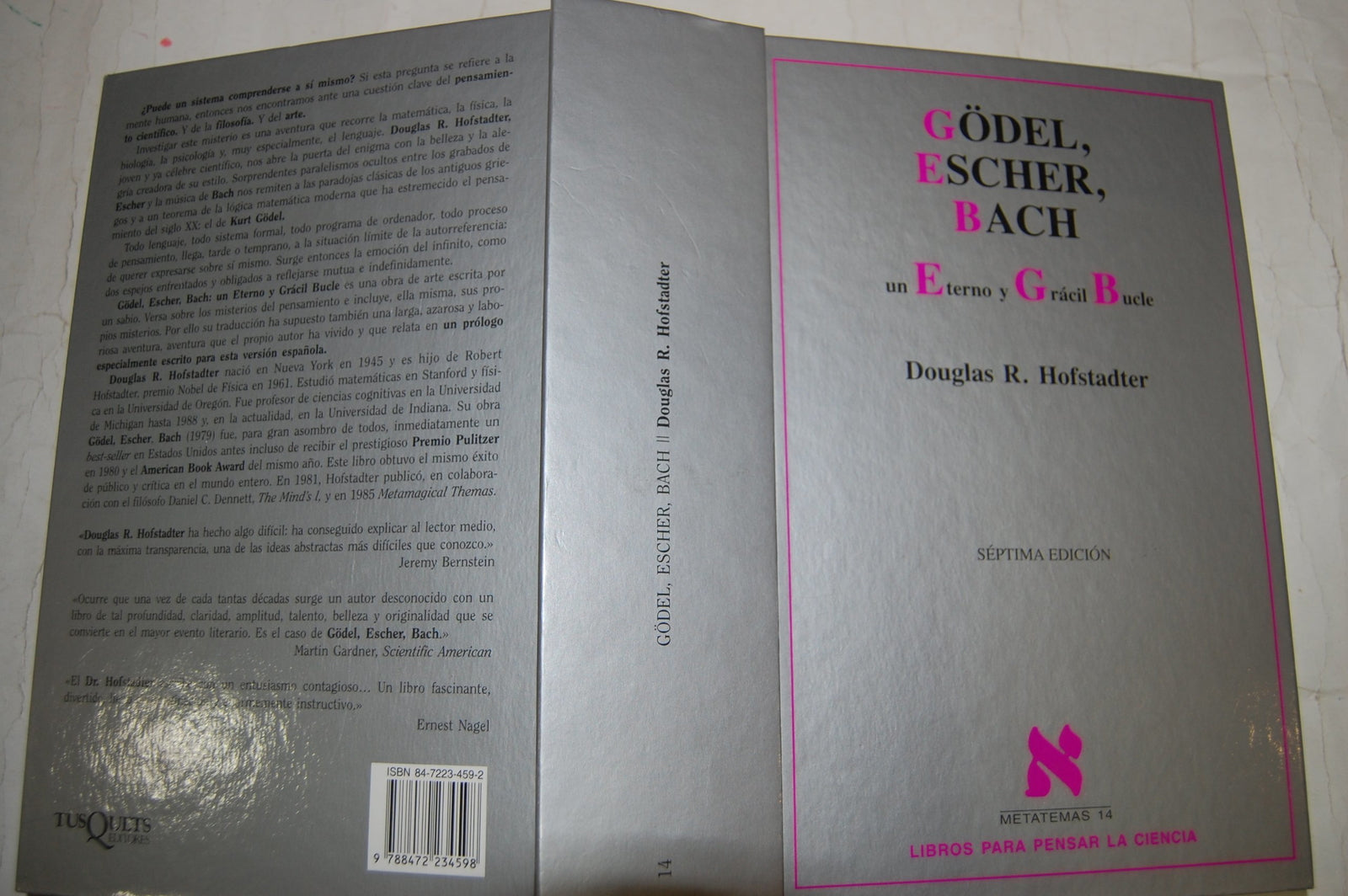 Gödel, Escher, Bach: 14 (Metatemas)