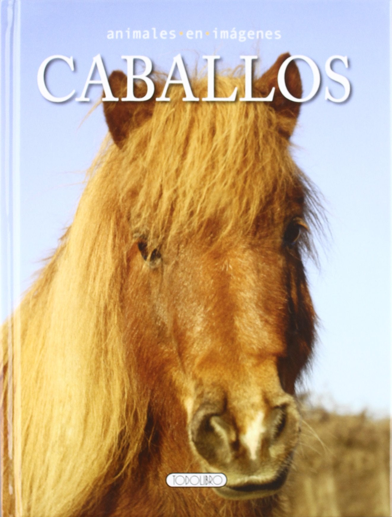 Caballos (Animales en imágenes)