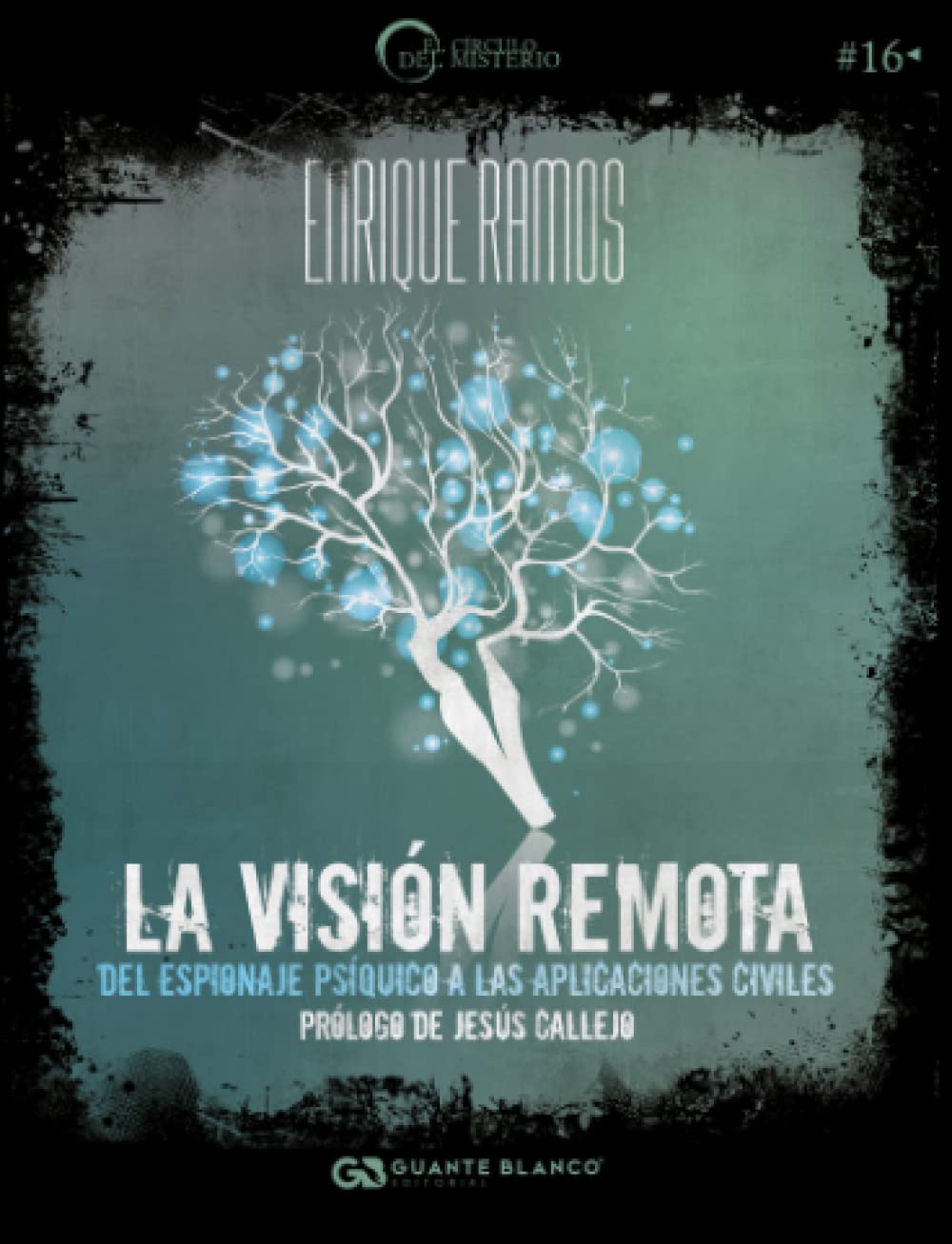La visión remota