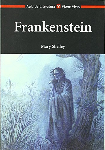Frankenstein - Aula De Literatura
