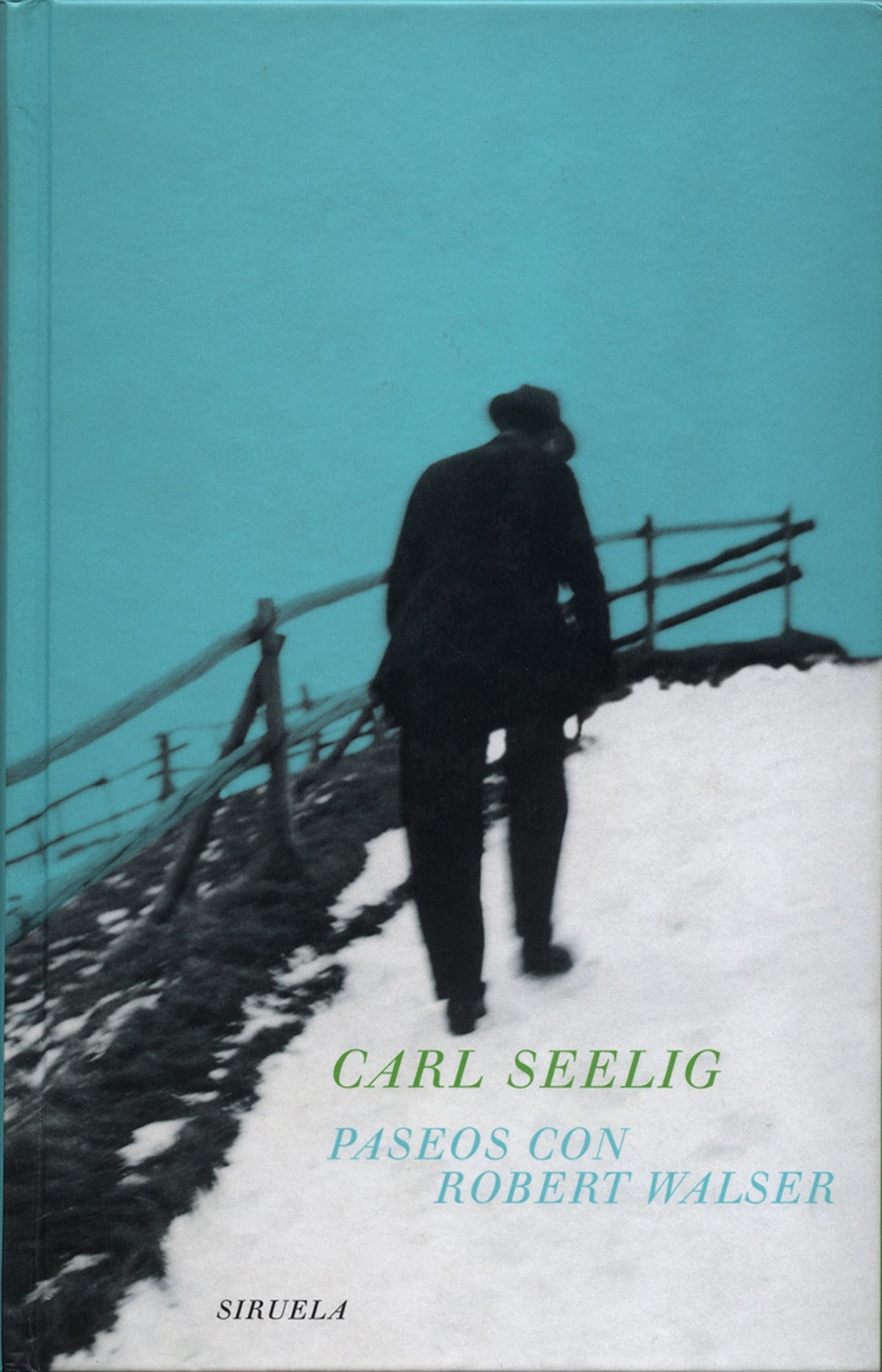 Paseos con Robert Walser: 120 (Libros del Tiempo)