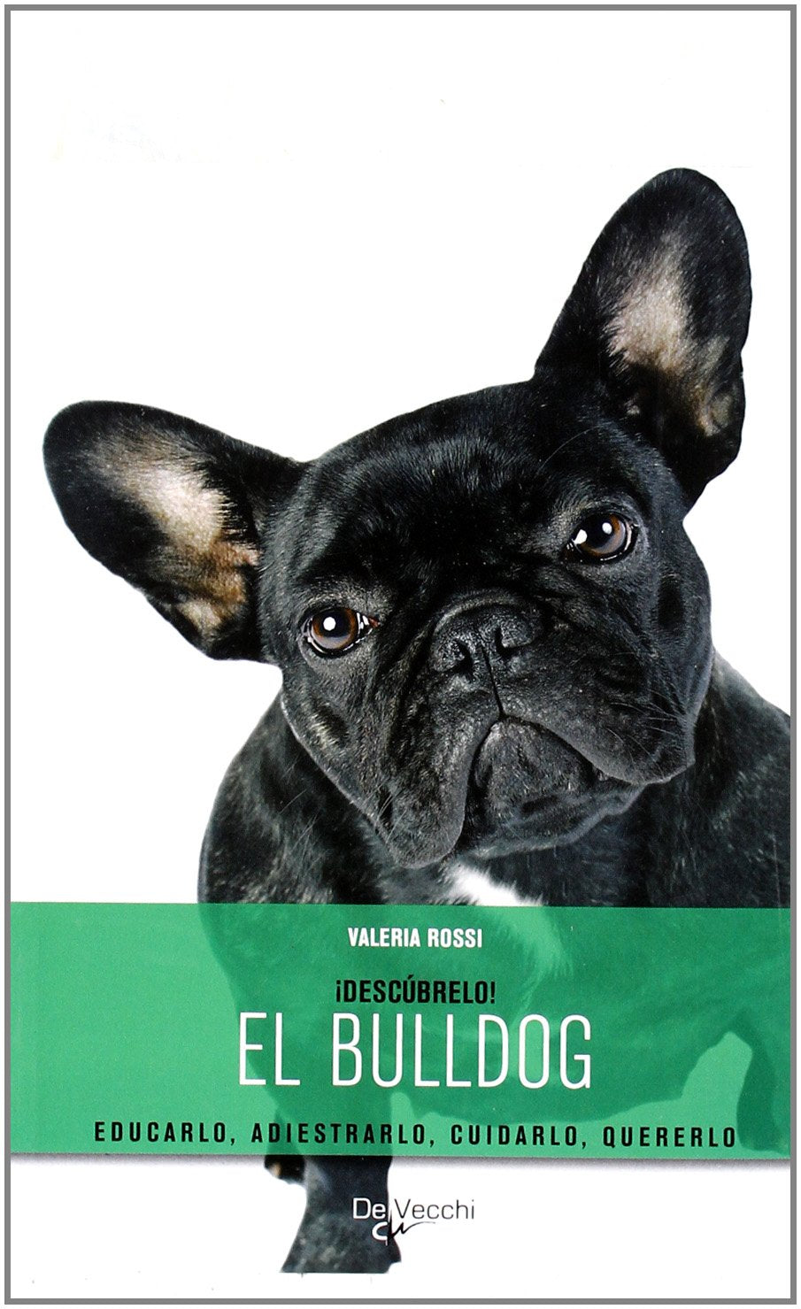 Bulldog, el (Descubrelo (de Vecchi))