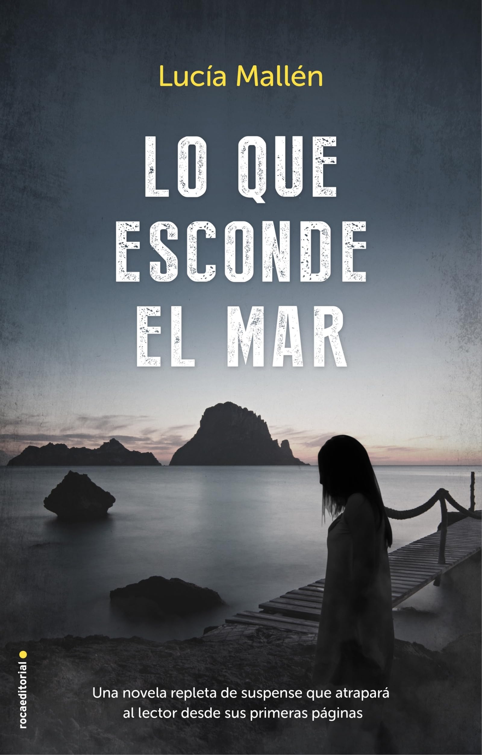 Lo que esconde el mar (NOVELA)
