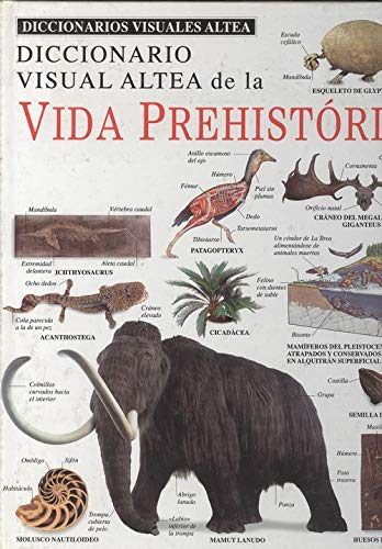 Vida prehistorica diccionario visual