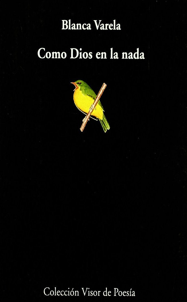 Como Dios en la nada: Antologaia, 1949-1998: 406 (Visor de Poesía)