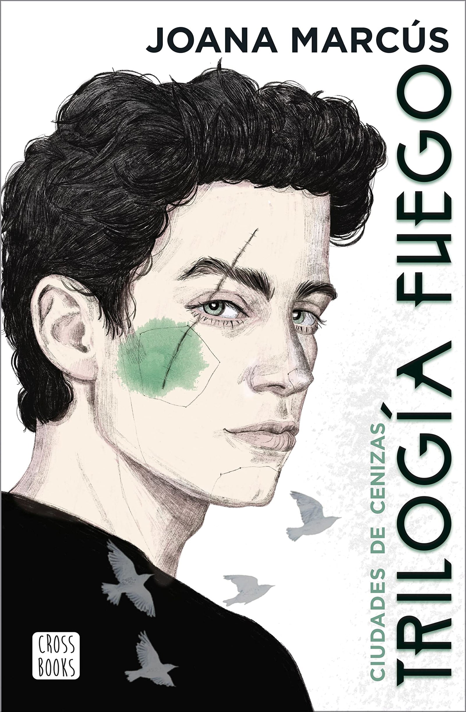 Trilogía Fuego 2. Ciudades de cenizas (Ficción)