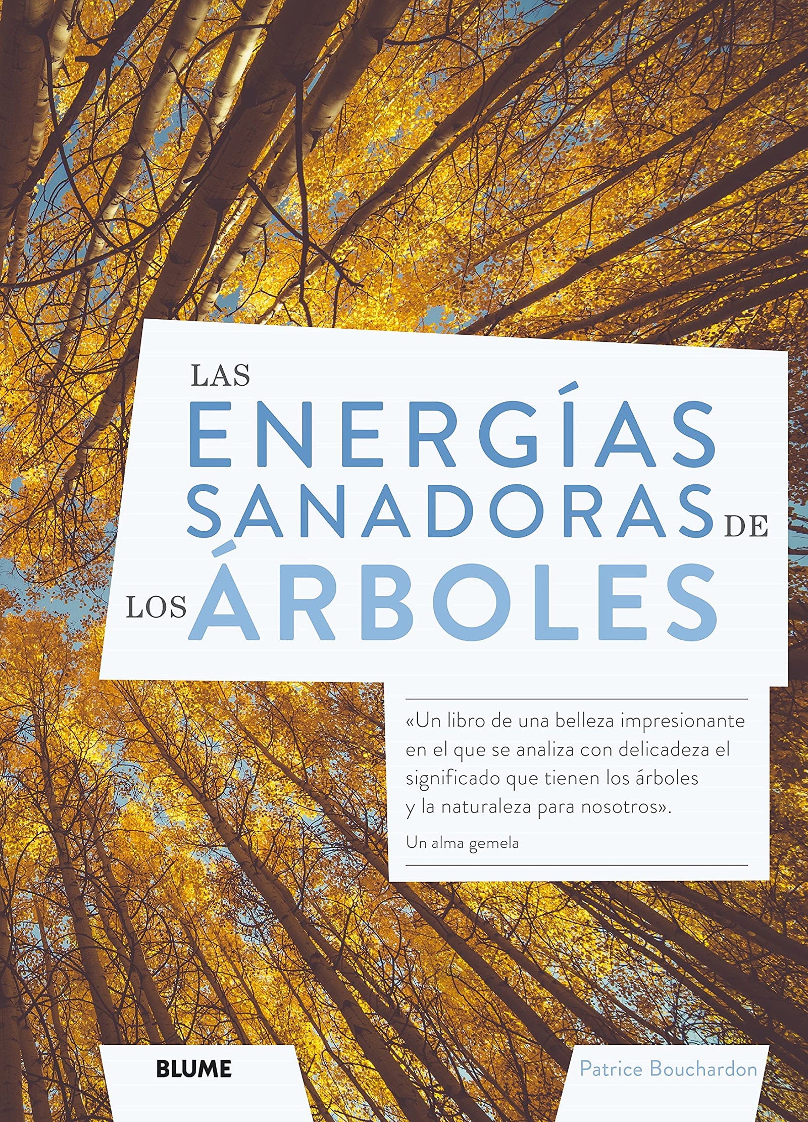 Las energías sanadoras de los árboles (GENERICA)