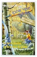 La força oculta de la fletxa de plata: 8 (Corazón de dragón)