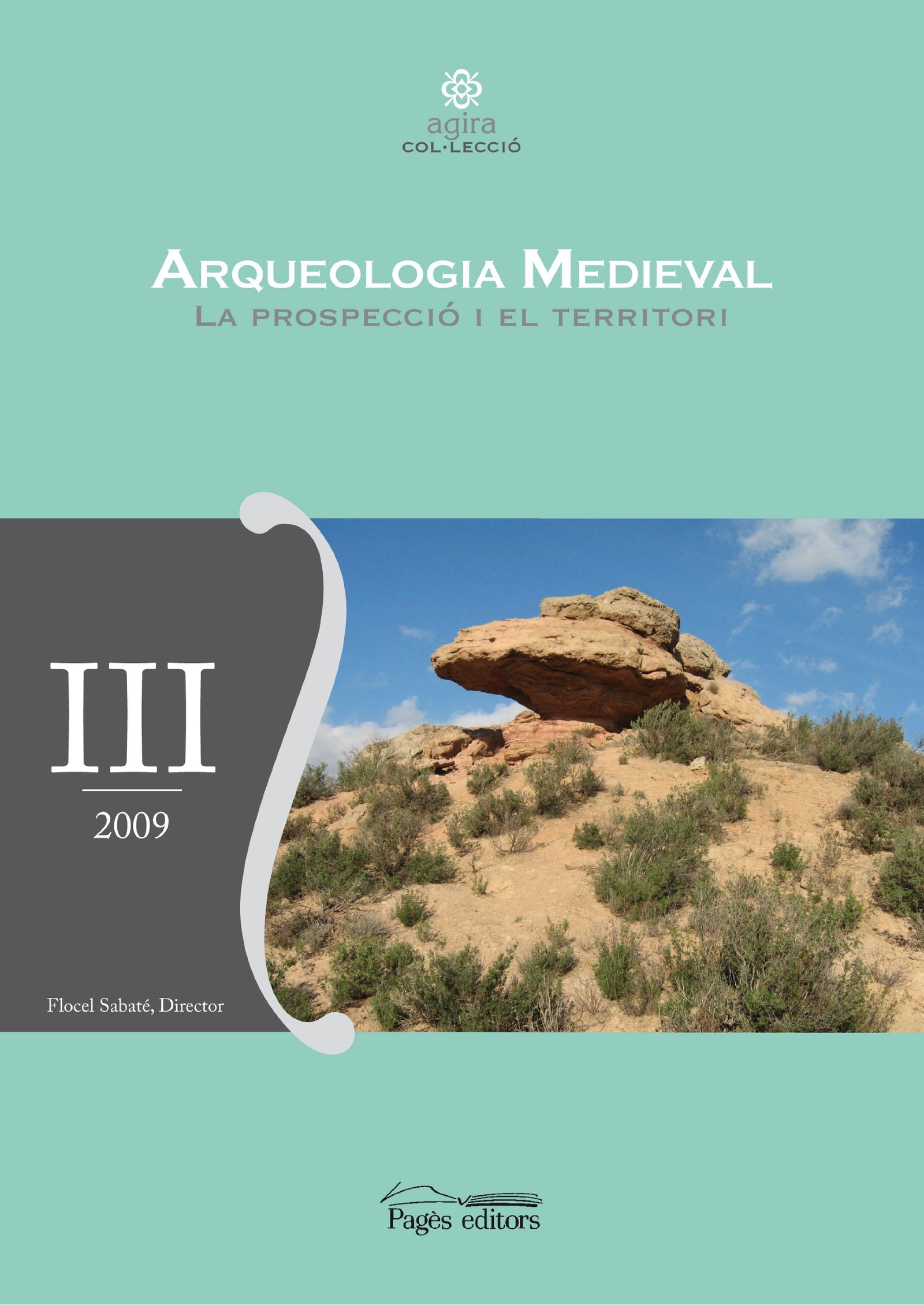Arqueologia medieval. La prospecció i el territori: III Curs Internacional D'Arqueologia Medieval (Aurembiaix d'Urgell)