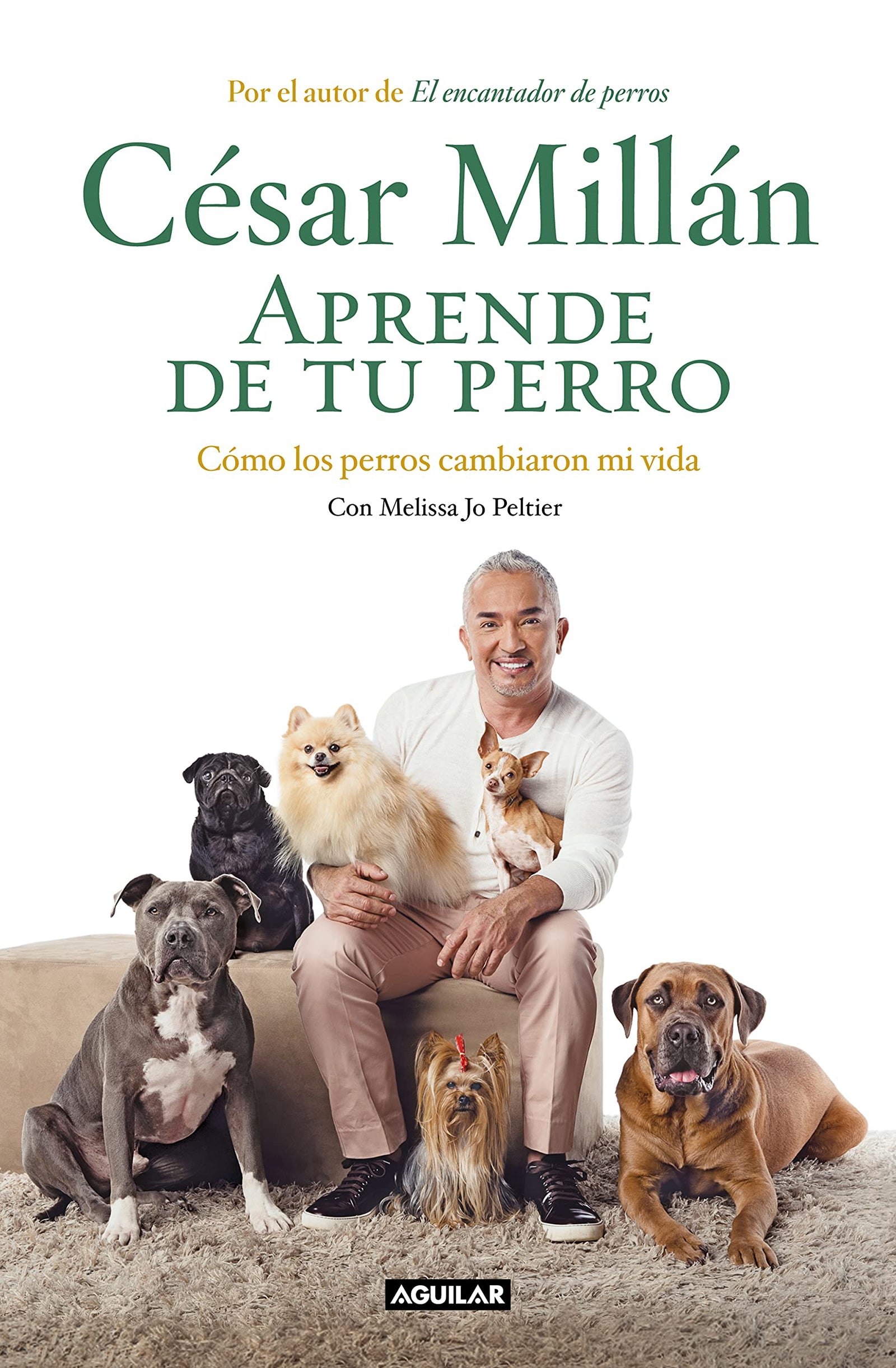 Aprende de tu perro: Cómo los perros cambiaron mi vida (Divulgación)