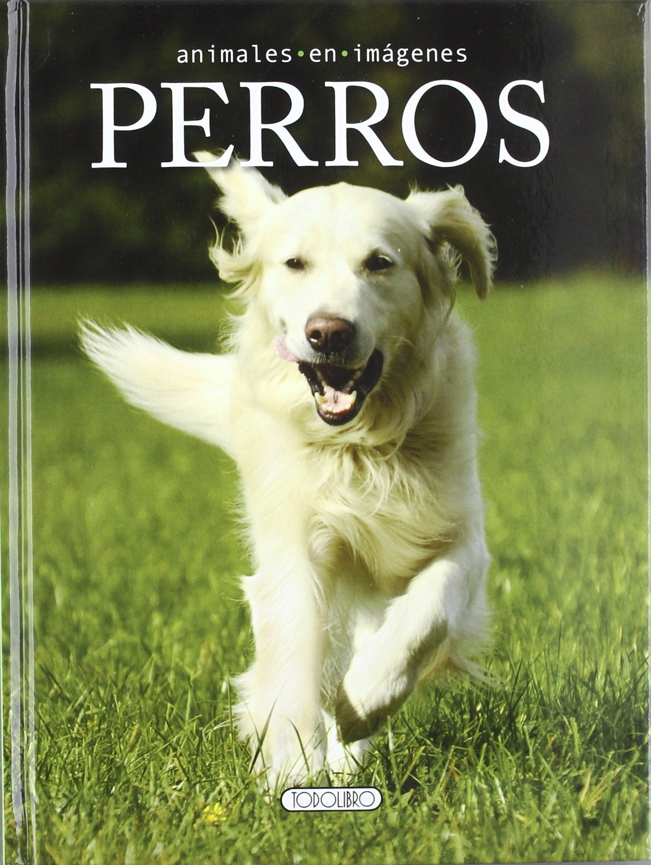Perros (Animales en imágenes)