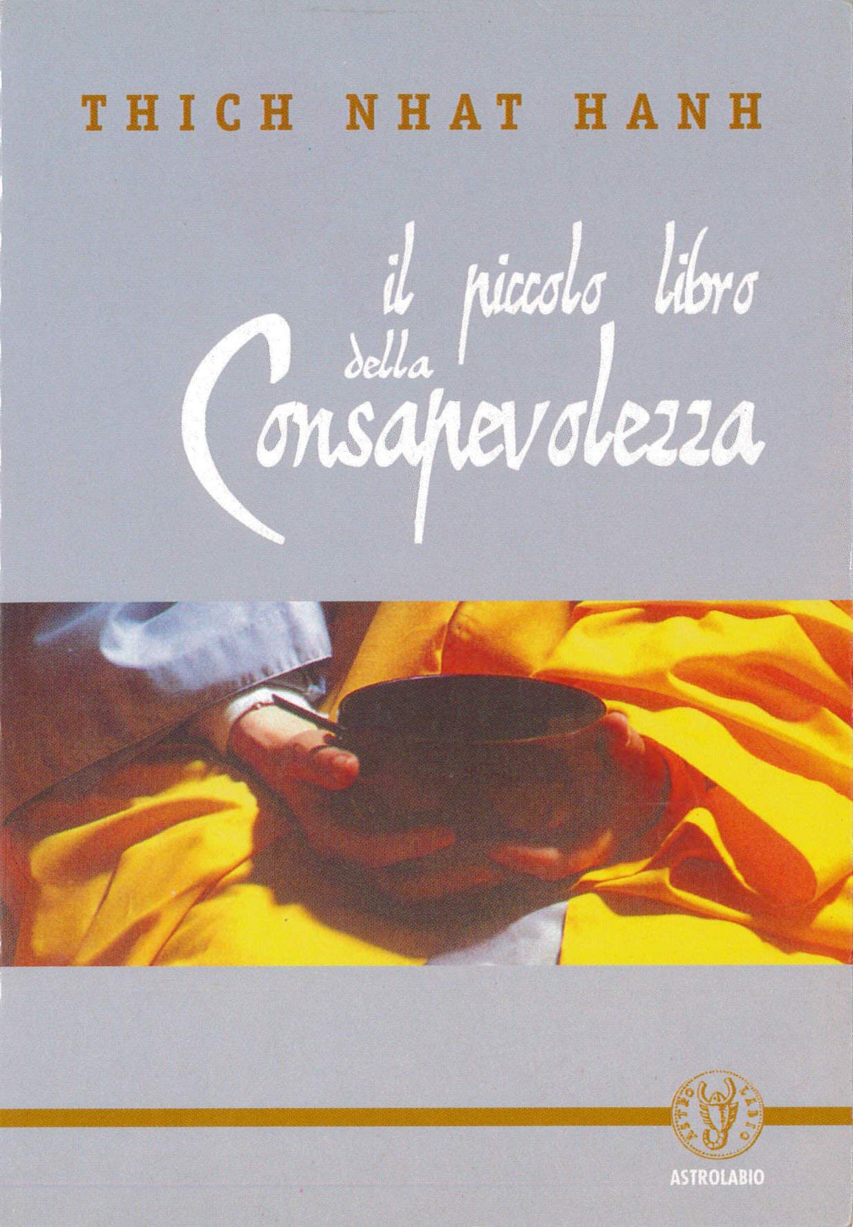 Il piccolo libro della consapevolezza (Schegge di saggezza)